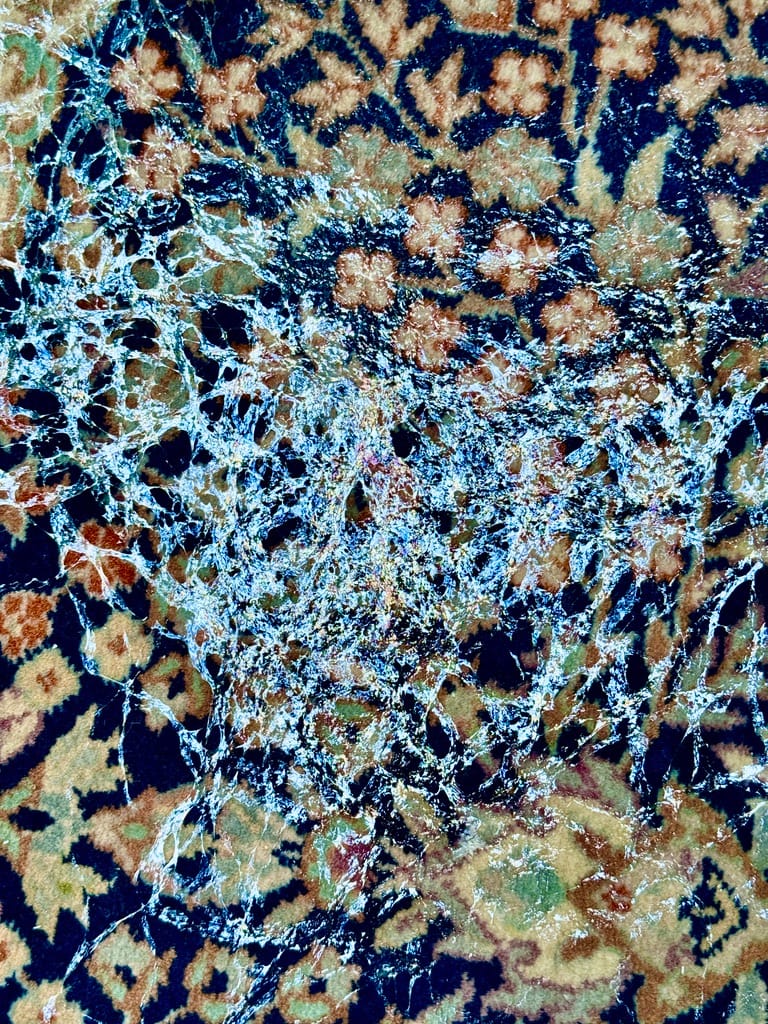 Drunken Snail, or Maybe Lost!