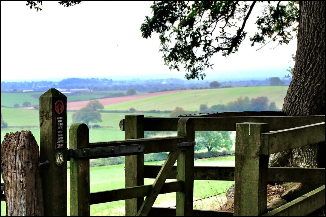 After you. No after you.......